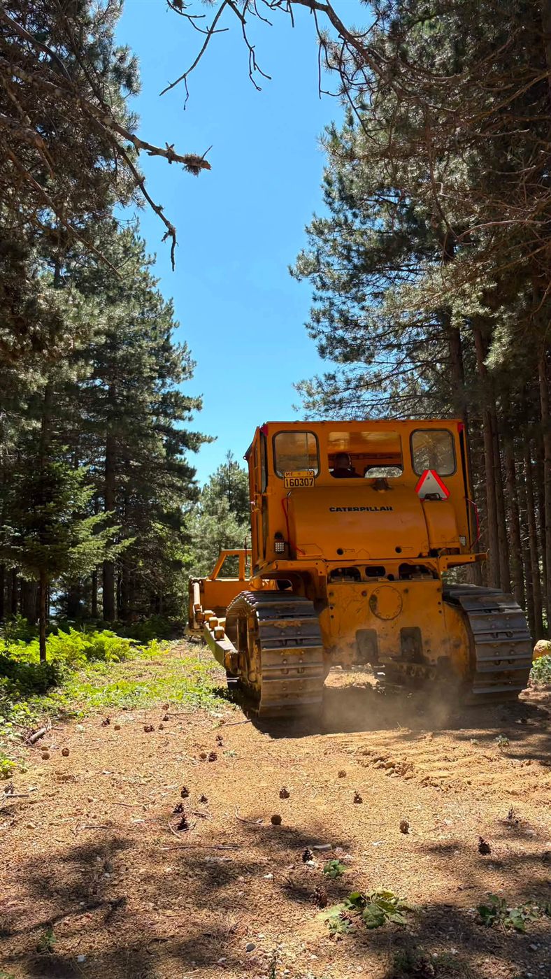 Προωθητής γαιών Caterpillar σε δασικό δρόμο